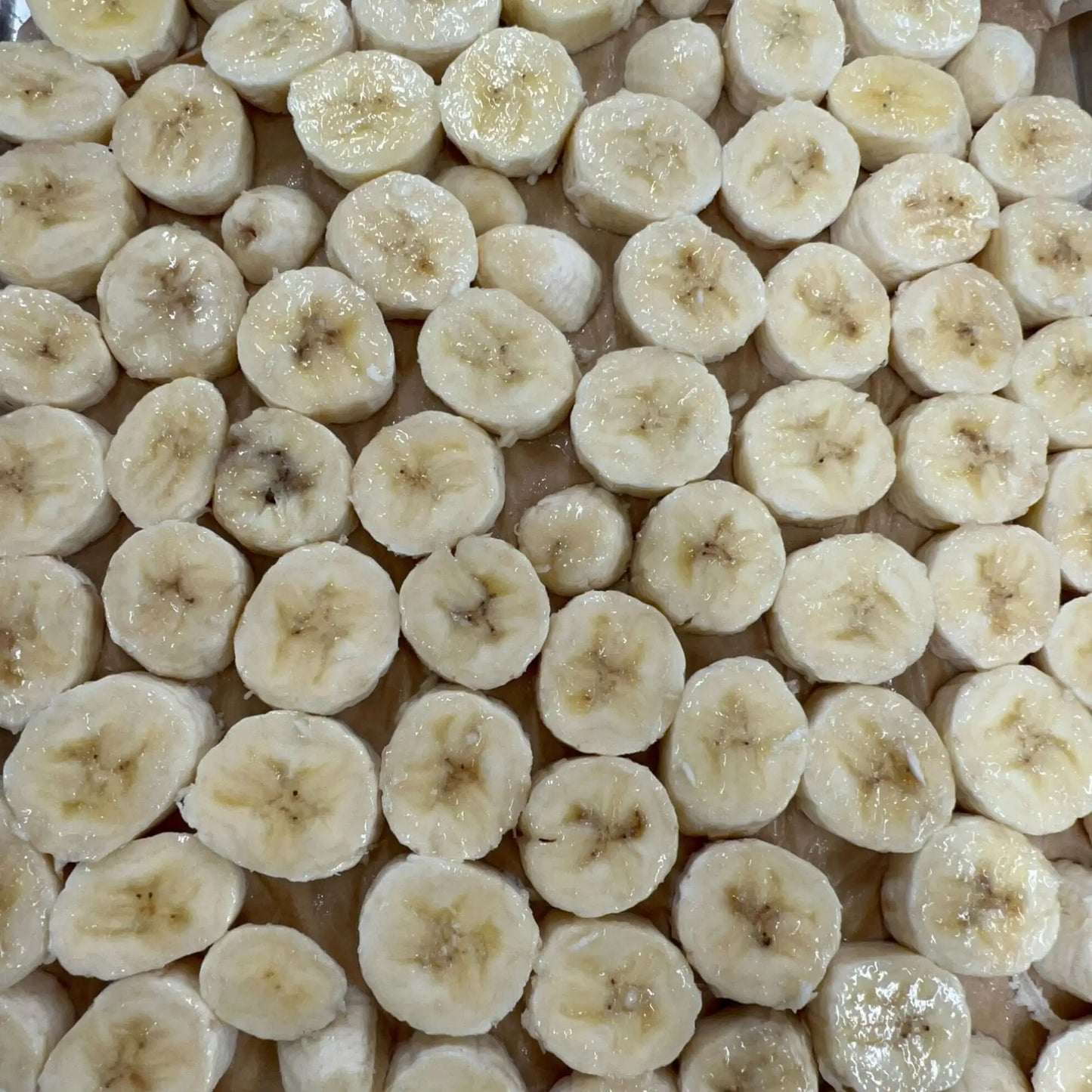 Freeze Dried Organic Bananas