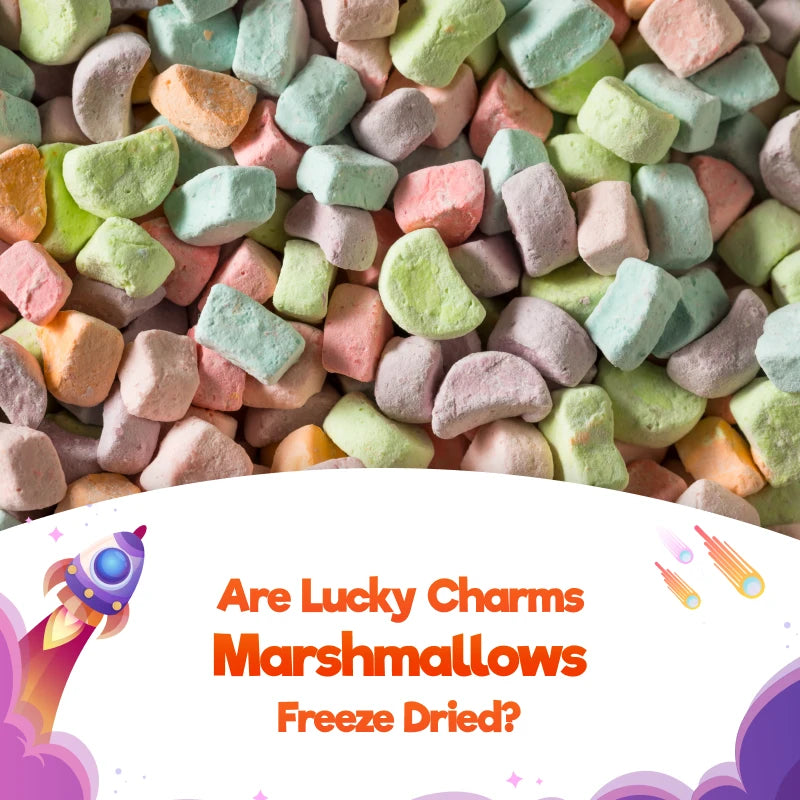 freeze_dried_marshmallow