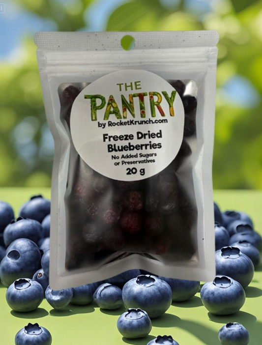 Blueberries Snack Bag